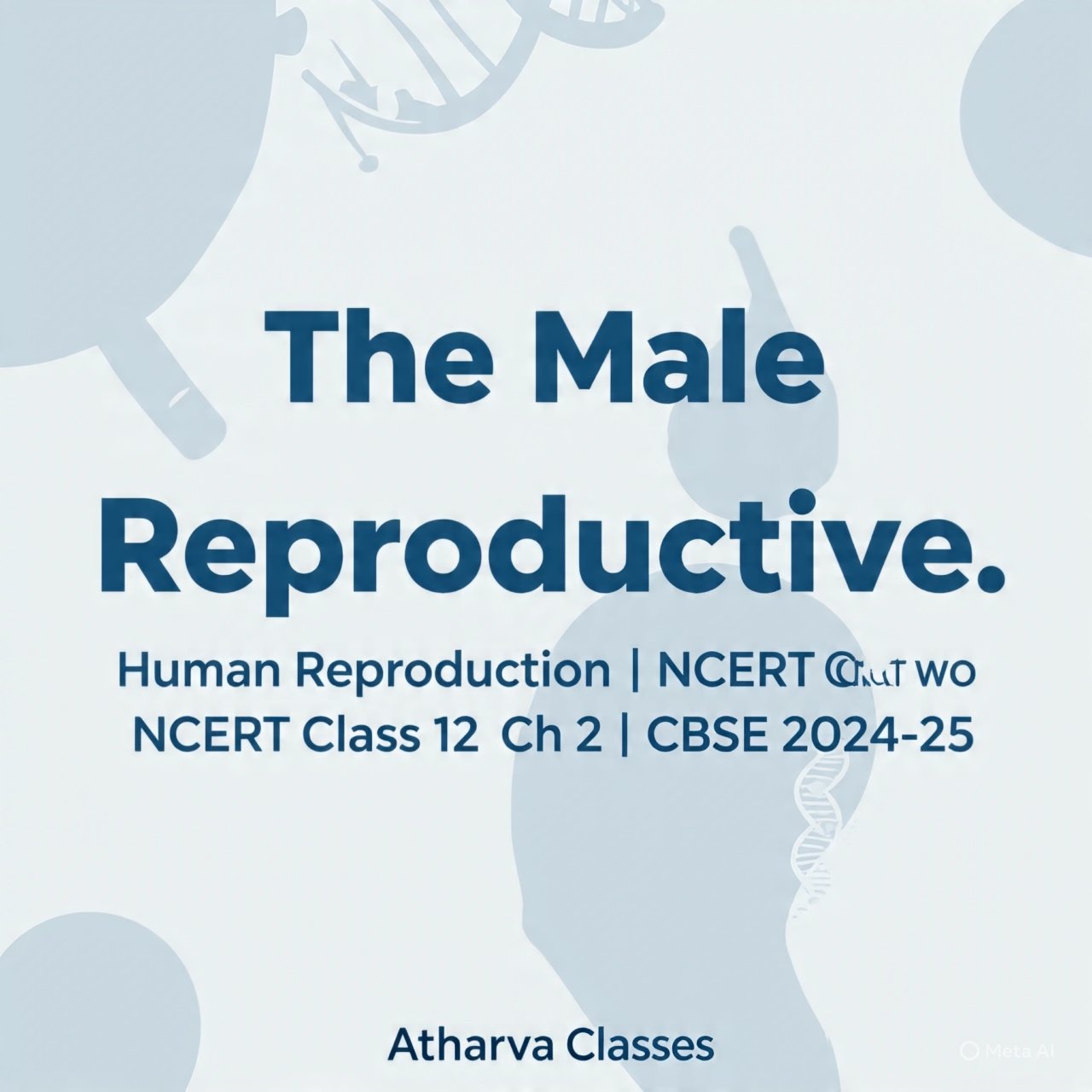 The Male Reproductive System - Human Reproduction | Class 12 Chapter 2 Biology | CBSE 2024-25